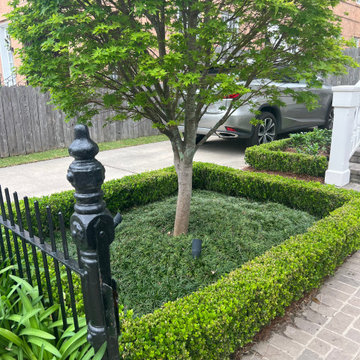 Uptown Front Yard Landscape and Sod