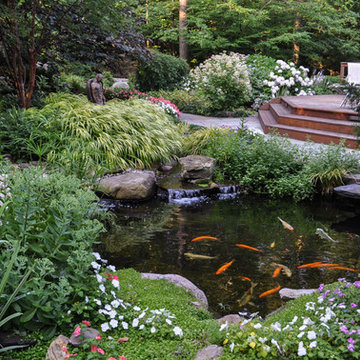 Ponds