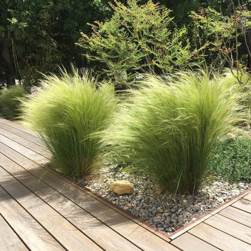 Un jardin original à Toulon