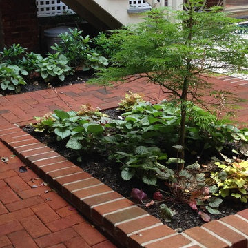 Bolton Hill Courtyard