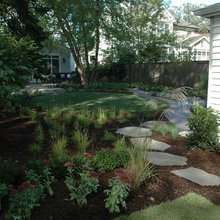 Landscape Ideas