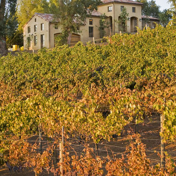 Los Altos Hills Private Winery