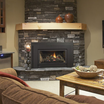 Gas Fireplace Inserts