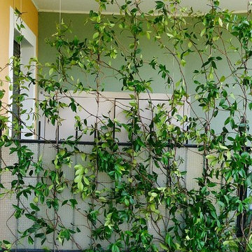 Giardino pensile con vista sul Porto di Rapallo