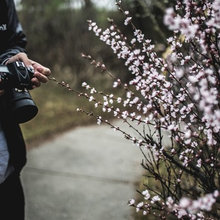 Organize Digital Photos