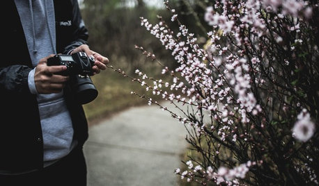 How to Organise Your Digital Photographs