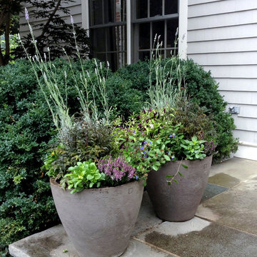 Container Planting Designs