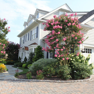 Garden Views in Montclair