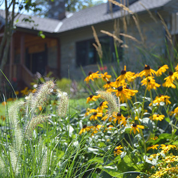 Plantings