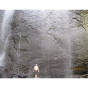 Bill Heystee's photo