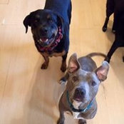 Heather Bailey's photo