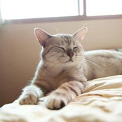 Tiger Liu's photo