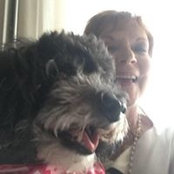Donna Flanagan's photo