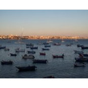 Andrea Wohlert's photo