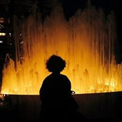 Sonia Palmieri's photo