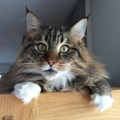 Delphine Dagort's photo