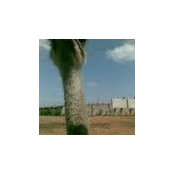 Eldad Moneta's photo