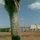 eldad_moneta