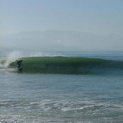 Thom Rogers's photo
