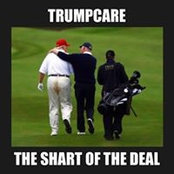 Kevin Rourke's photo