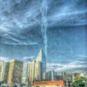 Shelton Starks's photo