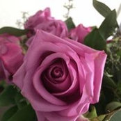Sheila Ridge's photo