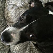 Karen DeAnda's photo