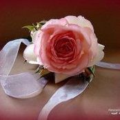 Eman Ghoniem's photo