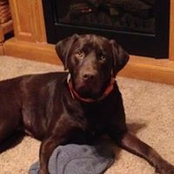 Angela Calhoun's photo
