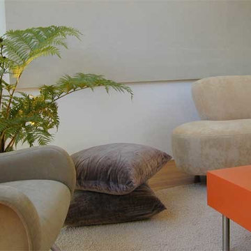 Modern Show House