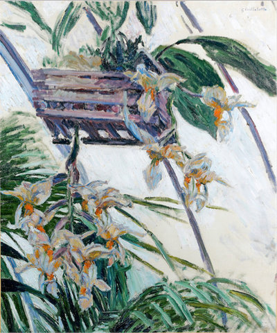 Стиль шебби-шик Сад Orquídeas, 1983