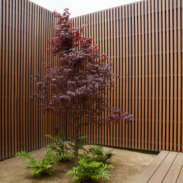 Campbell Modern