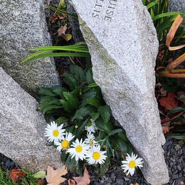 Minto Park - Perennial garden for memorial site