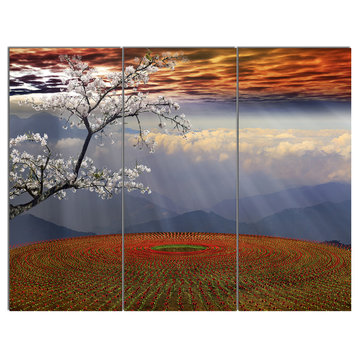 Beautiful Flower Field At Sunset, Landscape Triptych Canvas Art, 36x28, 3 Panels