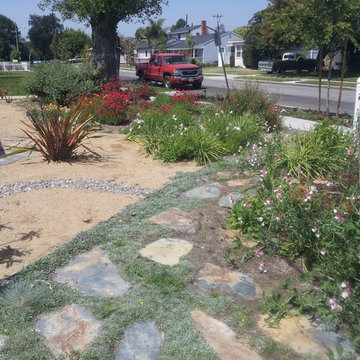Water Conserving Landscape Project
