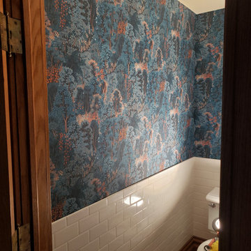 CHicago Lakeview.  Old wallpaper removal and new wallpaper installation
