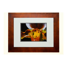 Orchid - Photographs