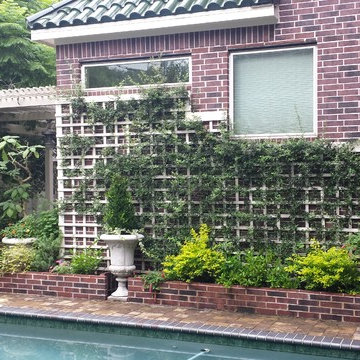 Braeswood Place Pool and Courtyard