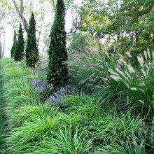 Southern Grass Area