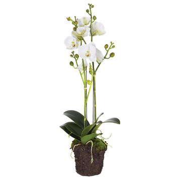 Two Stem White Phalaenopsis Orchid Faux Flower Artificial Plant Drop In