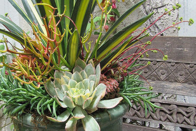 Inspiration for an eclectic landscaping in Los Angeles.