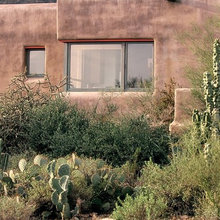 Landscape Ideas