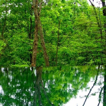 Poolscapes