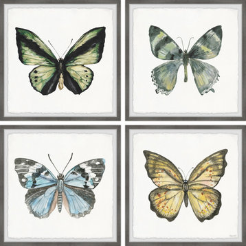 Fly Like a Butterfly Quadriptych, Set of 4, 12x12 Panels