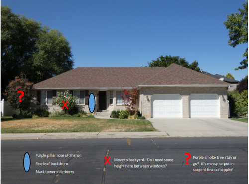 New Landscape Plan for Front Yard