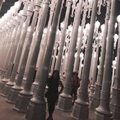 Frances Morales's photo