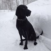 Danielle Richardson's photo