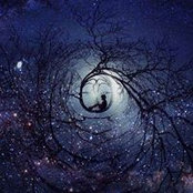 Wyn Hounihan's photo