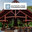 Outdoor Living Foundations