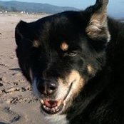 Clyde Clyde's photo